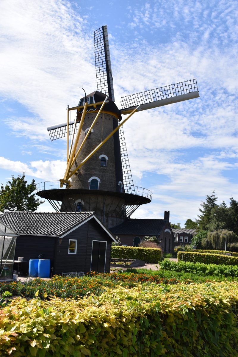 De Kerkhovense Molen, Molens